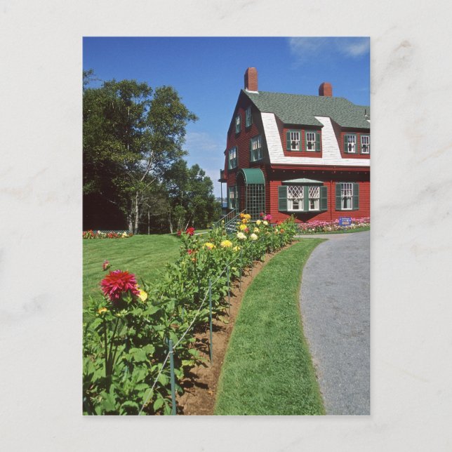 Carte Postale Canada, Nouveau-Brunswick, île de Campobello. 2 (Devant)