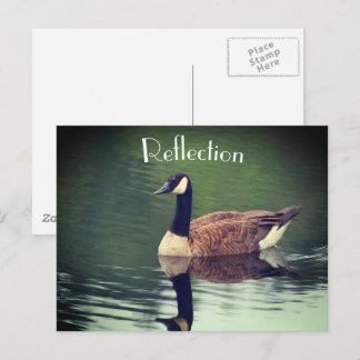 Carte Postale Canada Oie Reflections Inspiration