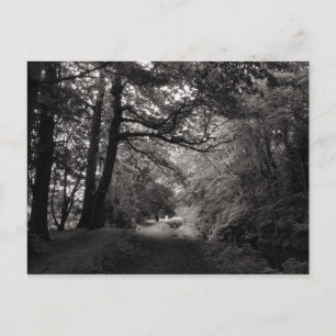 Carte Postale Canal, Bute Park, Cardiff, Pays de Galles
