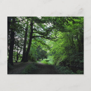 Carte Postale Canal, Bute Park, Cardiff, Pays de Galles
