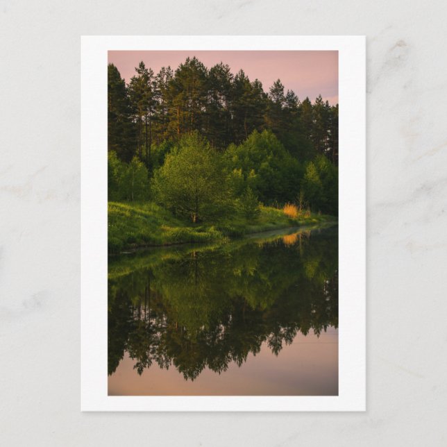Carte Postale Canal de la rivière forestière de Nature Bélarus C (Devant)