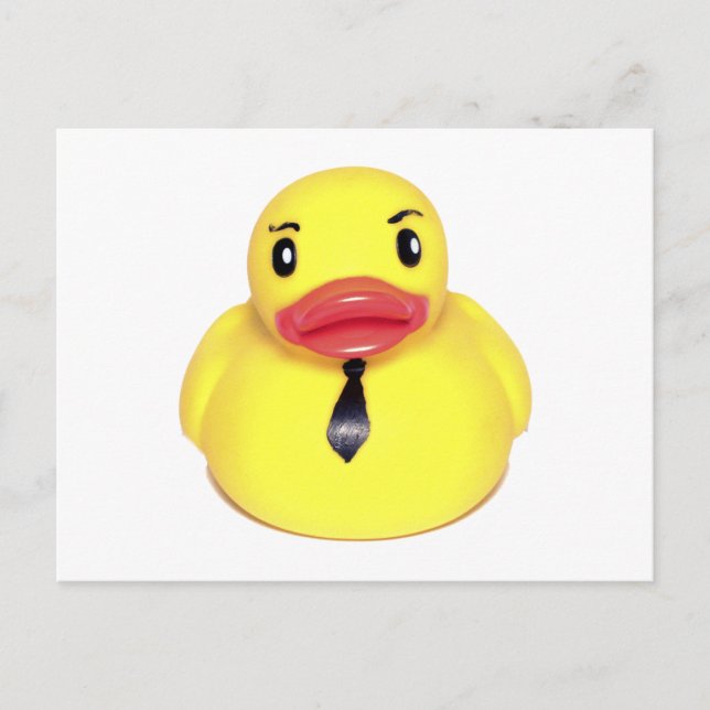 Carte Postale Canard (Devant)