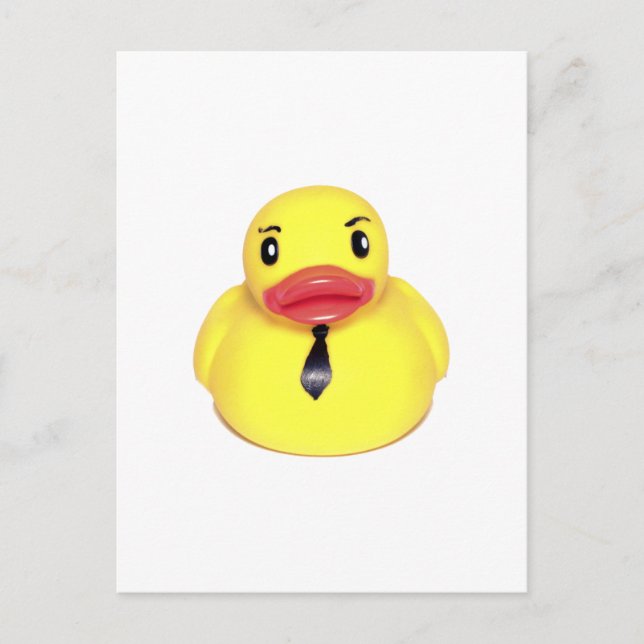 Carte Postale Canard (Devant)