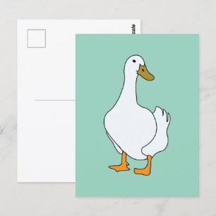 Carte Postale Canard à canard blanc