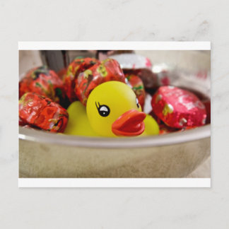 Carte Postale Canard dans Candy