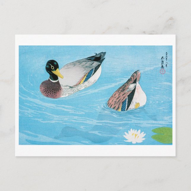 Carte Postale Canard dans l'étang, Goyō Hashiguchi (Devant)