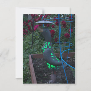 Carte Postale Canard de jardin