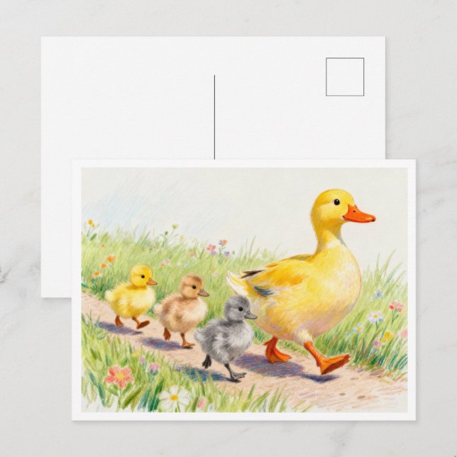 Carte Postale Canard drôle et canetons (Devant / Derrière)