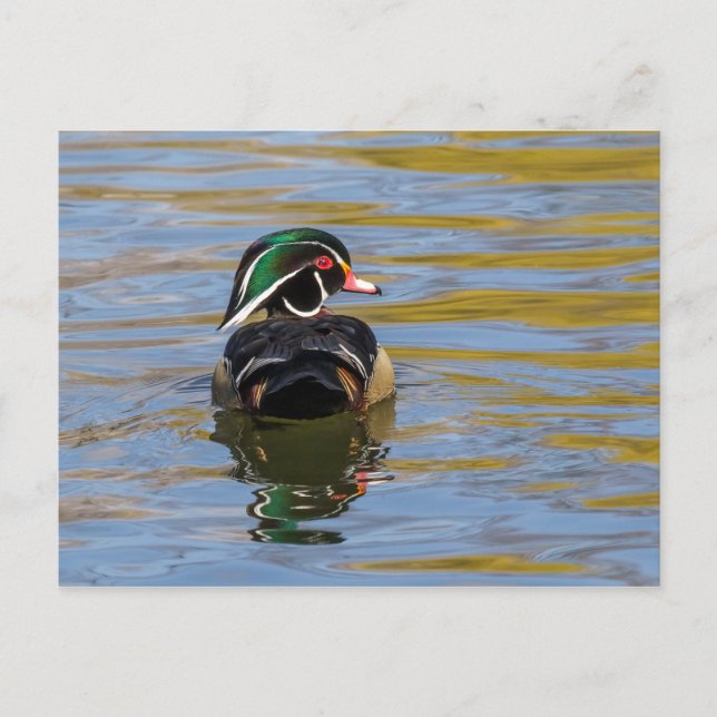 Carte Postale Canard en bois coloré (Devant)