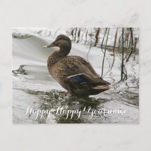Carte Postale Canard gris sur le lac sombre
