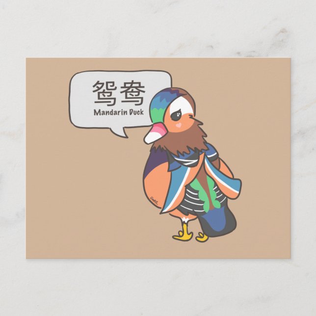 Carte Postale Canard mandarin (Devant)