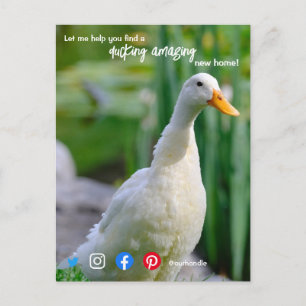 Carte Postale canard merveilleux agent immobilier fantastique ma