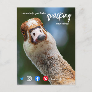 Carte Postale canard merveilleux agent immobilier fantastique ma