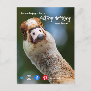 Carte Postale canard merveilleux agent immobilier fantastique ma