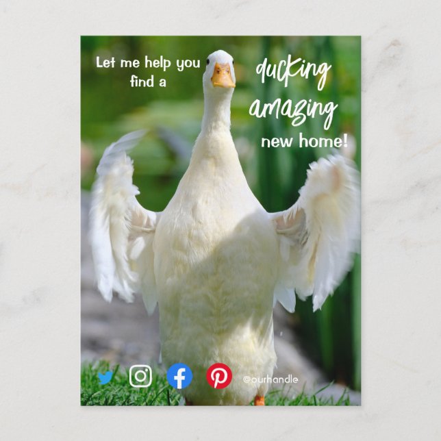 Carte Postale canard merveilleux génial marketing d'agent immobi (Devant)