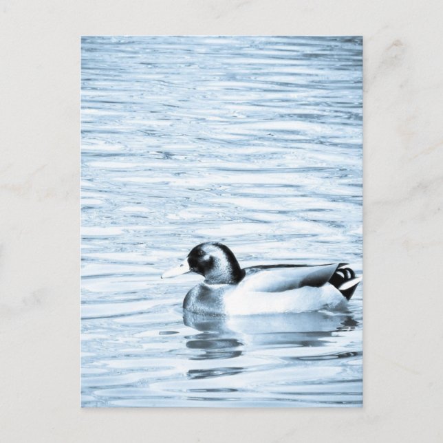 Carte Postale Canard métallique (Devant)