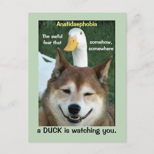 Carte Postale Canard Shiba Inu Chien Anatidaephobia Photo Doge A (Devant)