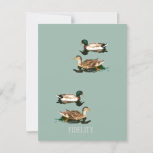Carte Postale Canards colverts comestibles ronds de dégivrage