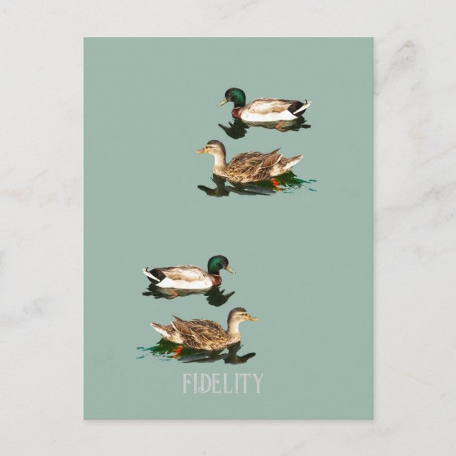 Carte Postale Canards colverts comestibles ronds de dégivrage (Devant)
