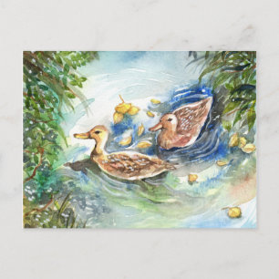 Carte Postale Canards Dans L'Étang