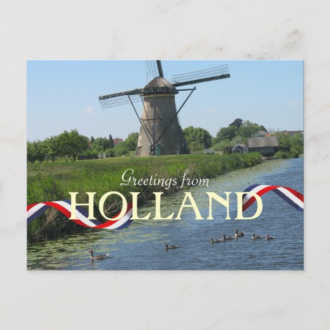 Carte postale Canards de moulin néerlandais (Devant)