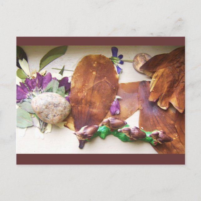 Carte postale Canards de voyage (Devant)