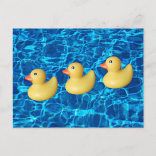 Carte Postale Canards en caoutchouc dans une rangée, Piscine Eau