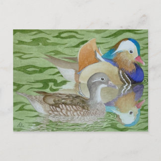 Carte Postale Canards mandarins sur un lac