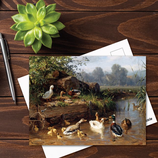 Carte Postale Canards sur la rivière Carl Jutz (Créateur téléchargé)