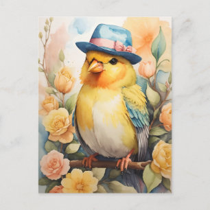 Carte Postale Canari au chapeau Fedora