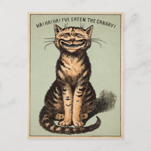 Carte Postale Canari de chat vintage