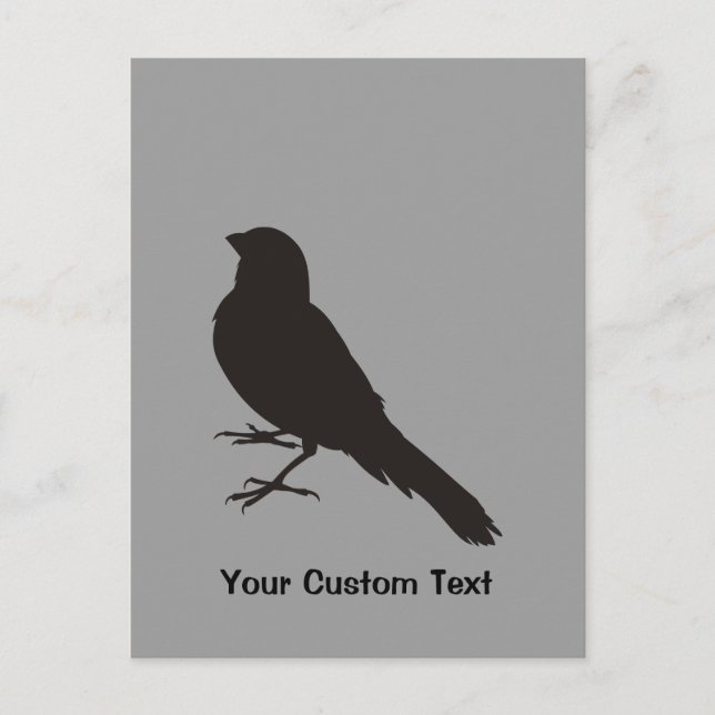 Carte Postale Canari debout (Devant)