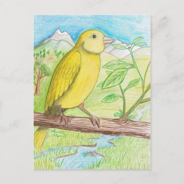 Carte Postale Canari jaune dans le pré (Devant)