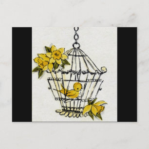 Carte Postale Canaries et Dafodills