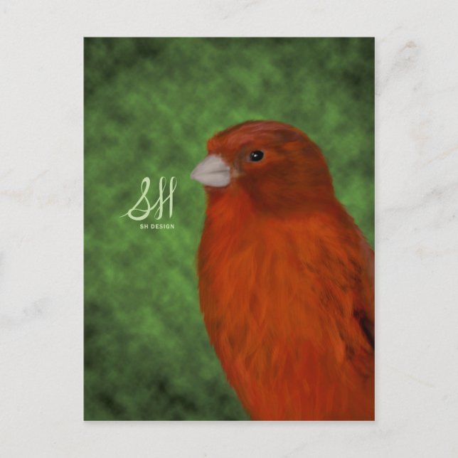 Carte Postale Canaries rouges (Devant)