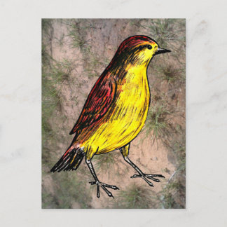 Carte Postale Canary Bird