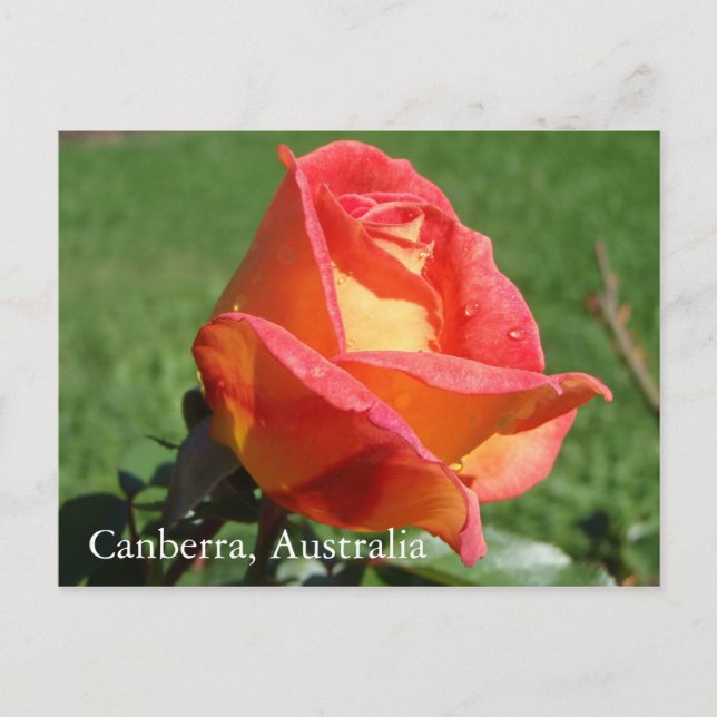 Carte postale Canberra, Australie (Devant)