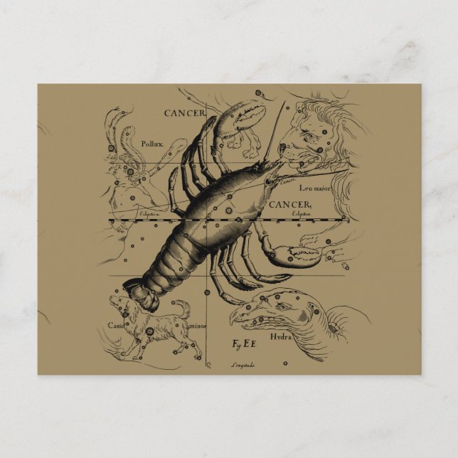 Carte Postale Cancer constellation Hevelius 1690 Engaving (Devant)