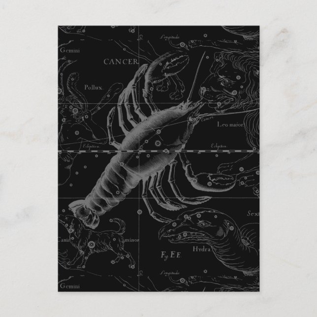 Carte Postale Cancer Constellation Hevelius 1690 sur Noir (Devant)