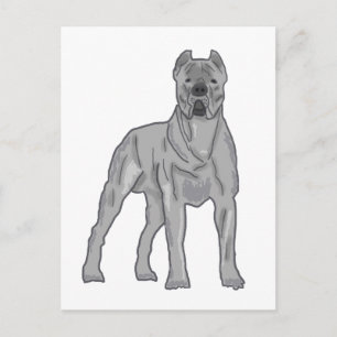Carte Postale Cane Corso