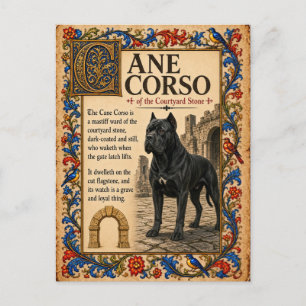 Carte Postale Cane Corso, Art du Bestiaire Médiéval