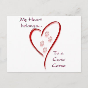 Carte Postale Cane Corso Coeur Appartient