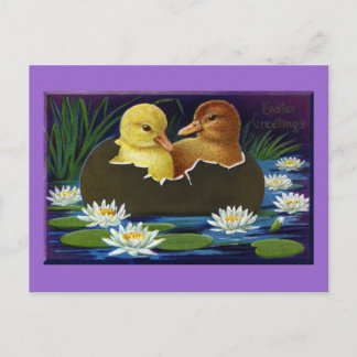 Carte Postale Canettes en bateau à coque d'oeuf avec nénuphars