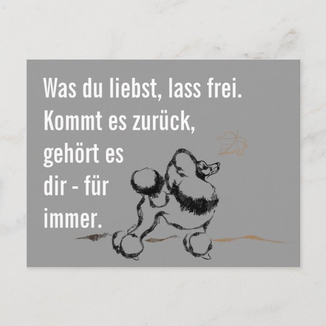 Carte Postale Caniche (Devant)