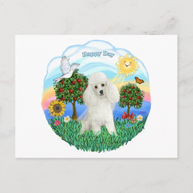 Carte Postale Caniche (blanc #14) (Devant)