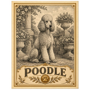 Carte Postale Caniche, Chien du Patrimoine Ancien