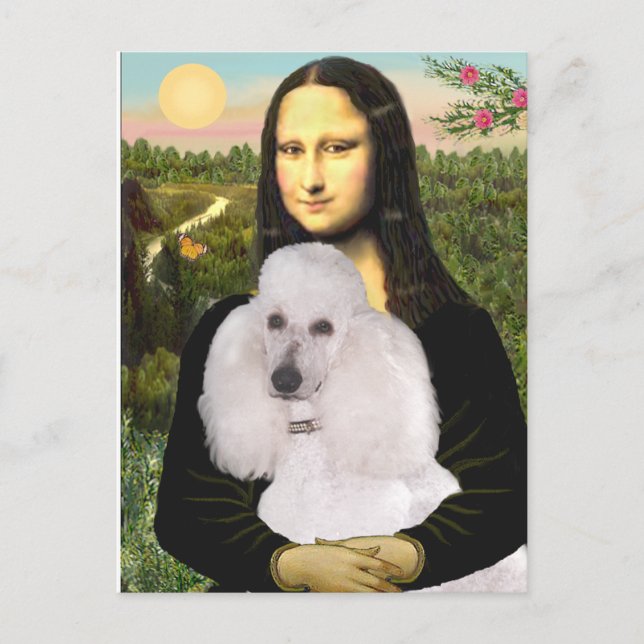Carte Postale Caniche Mona-Pood-Blanc-Standard (Devant)