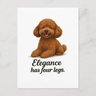 Carte Postale Caniche Toy � L'élégance a quatre pattes