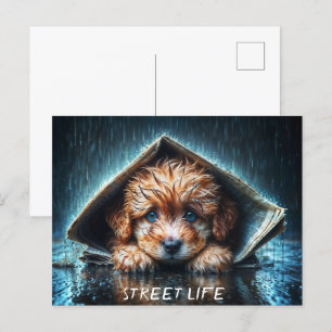 Carte Postale Canine humide et réconfortante par temps orageux