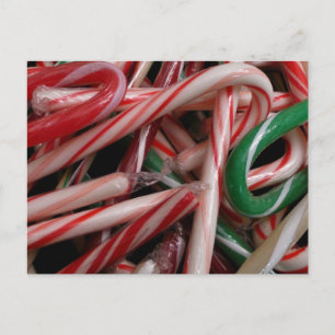 Carte Postale Canneberges de Noël Fête Blanc Vert et Rouge